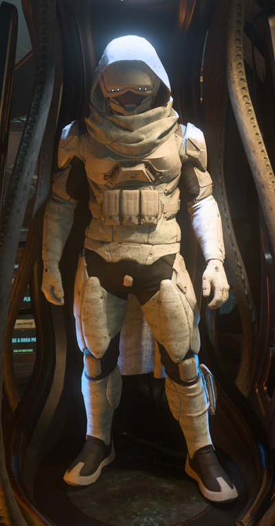 Geist Armor Arms Snow Camo